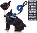 Service Dog Vest Harness and Leash Set, Animire in Training Dog Harness with 10 Dog Patches, Reflective Dog Leash with Soft Padded Handle for Small, Medium, Large, and Extra-Large Dogs (Blue,M)
