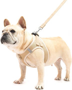PUPTECK Dog Harness and Leash Set for Small Medium Dogs No Pull Step-in Soft Mesh Puppy Cat Vest Harnesses Reflective at Night, Denim Beige S