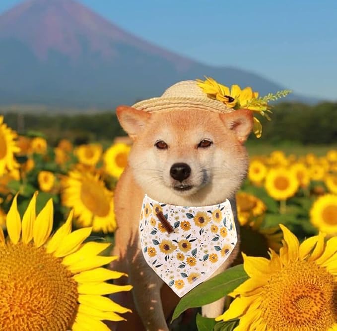 Elegant little tail Dog Bandanas - 1Pack Sunflower Print Washable Scarf Female Square Dog Bib Kerchief Scarf Adjustable Pet Bandana for Small Medium Dogs