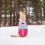 Idepet Pet Dog Cat Coat with Leash Anchor Color Patchwork Padded Puppy Vest Jacket Teddy Chihuahua Costumes Pug Cloth XS S M L (X-Small (Pack of 1), Rose Red)