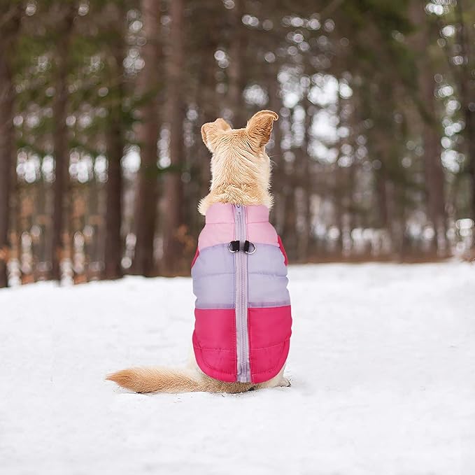 Idepet Pet Dog Cat Coat with Leash Anchor Color Patchwork Padded Puppy Vest Jacket Teddy Chihuahua Costumes Pug Cloth XS S M L (X-Small (Pack of 1), Rose Red)