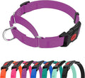 Waterproof Martingale Collar for Dogs,Easy to Clean Dog Collars with Safety Quick Release Buckle,Rubber Collar for Medium Large Dogs Walking Training (Purple, S (13.4-16.5inch))