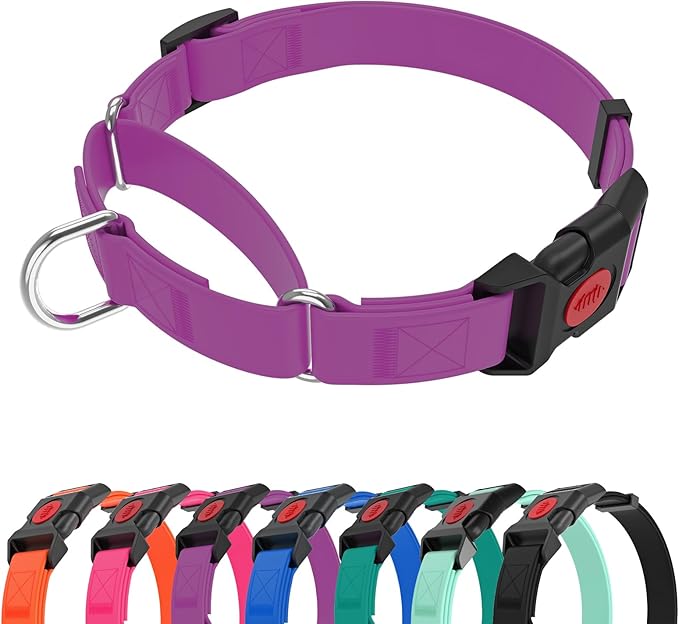 Waterproof Martingale Collar for Dogs,Easy to Clean Dog Collars with Safety Quick Release Buckle,Rubber Collar for Medium Large Dogs Walking Training (Purple, M (16.5-20.8inch))