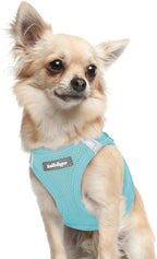 rabbitgoo Small Dog Harness, Step-in Soft Mesh Puppy Vest with Safety Buckle, Breathable Reflective Pet Harness for Extra Small Dogs, Mint Blue XXXS