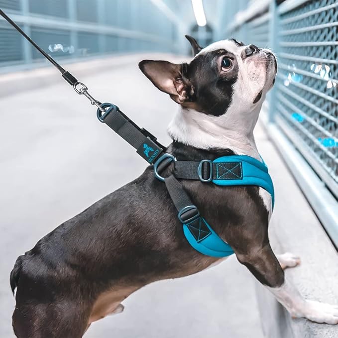 Gooby Escape Free Sport Harness - Lime, Large - No Choke Step-in Patented Neoprene Small Dog Harness with Four-Point Adjustment - Perfect on The Go Dog Harness for Medium Dogs No Pull and Small Dogs