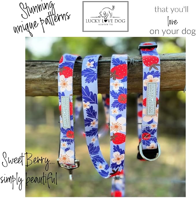 Lucky Love Dog Martingale Collar, Premium Fun Girl No Slip Collars, Strawberry Martingale Large Dog Collar, Great for Whippets, Greyhounds, and More (Sweet Berry, Large)