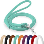CollarDirect Rolled Leather Dog Leash 6ft, Soft Training Leather Dog Leash for Puppy and Grown Dog Small Medium Large Black Blue Red Orange Green Pink White (Mint Green, Size S 6ft)