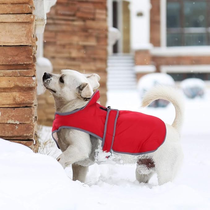 MIGOHI Reflective Waterproof Windproof Dog Coat - Warm Jacket Reversible Stormguard Winter Vest for Small to Large Dogs (Red, XL)