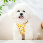 Step in Dog Harness No Pull Honeybee Adjustable Soft Mesh Padded Reflective Pet Vest Harness and Leash Set for Small Medium Dogs