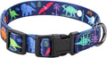 Rhea Rose 3/4 Inch Replacement Collar Strap Shock Collar with 2 Holes, Compatible with Nearly All Brands and Models of Underground Electric Dog Fences and Training Collars, Blue Dinosaurs