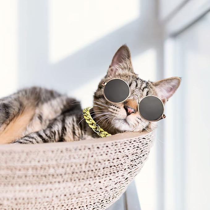 6PCS Pet Dog Cat Costume, Retro Pet Sunglasses, Adjustable Gold Chain Collar & Straw Hat, Funny Pet Accessories for Cat Puppy Small Medium Dog Birthday Cosplay Party