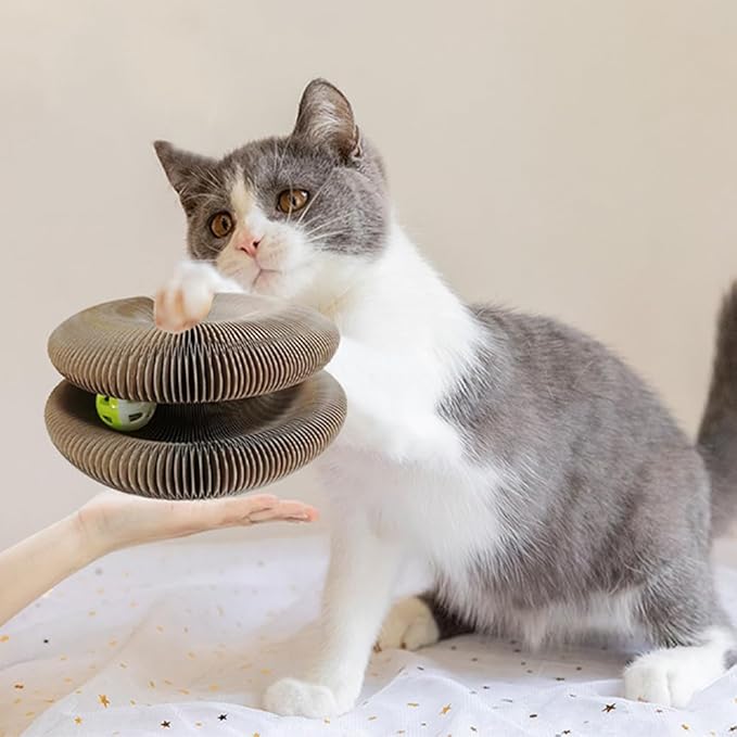 Cat Toy, Cat Scratcher, Reversible Infinity Style Magic Organ, Scratch-Resistant and Abrasion-Resistant, Foldable Cat Toys for Indoor Cats