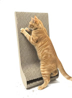 Interactive Cat Scratching Board with Ball Track, Corrugated Cardboard Cat Activity Pad, Random Edge Design