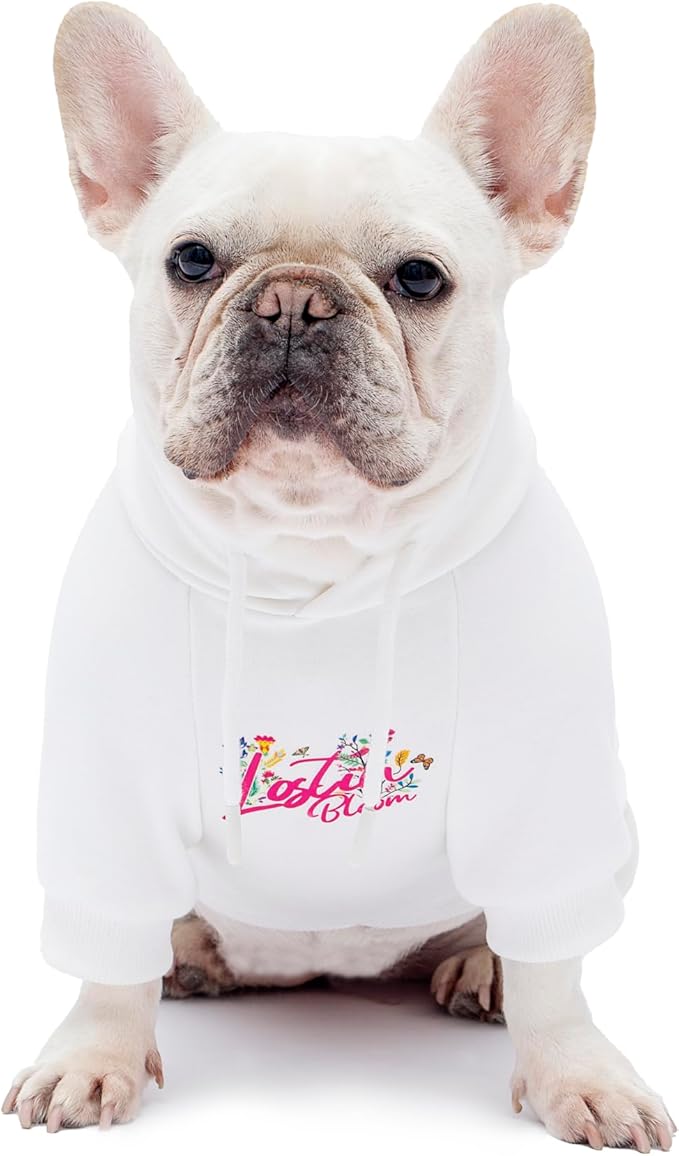 Blooming Teddy Dog Hoodie Dog Clothes Extra Warm Fleece Lining Stretchy Fit for Small Dogs (White, Medium)