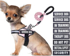 Service Dog Vest Harness and Leash Set, Animire in Training Dog Harness with 10 Dog Patches, Reflective Dog Leash with Soft Padded Handle for Small, Medium, Large, and Extra-Large Dogs(Pink,S)