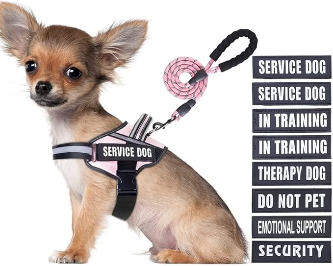 Service Dog Vest Harness and Leash Set, Animire in Training Dog Harness with 10 Dog Patches, Reflective Dog Leash with Soft Padded Handle for Small, Medium, Large, and Extra-Large Dogs(Pink,S)
