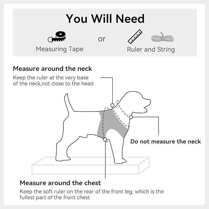 Joytale Small Dog Harness, Breathable Mesh Step-in Vest, Reflective Soft Padded Harnesses for Small and Medium Dogs, Black, M