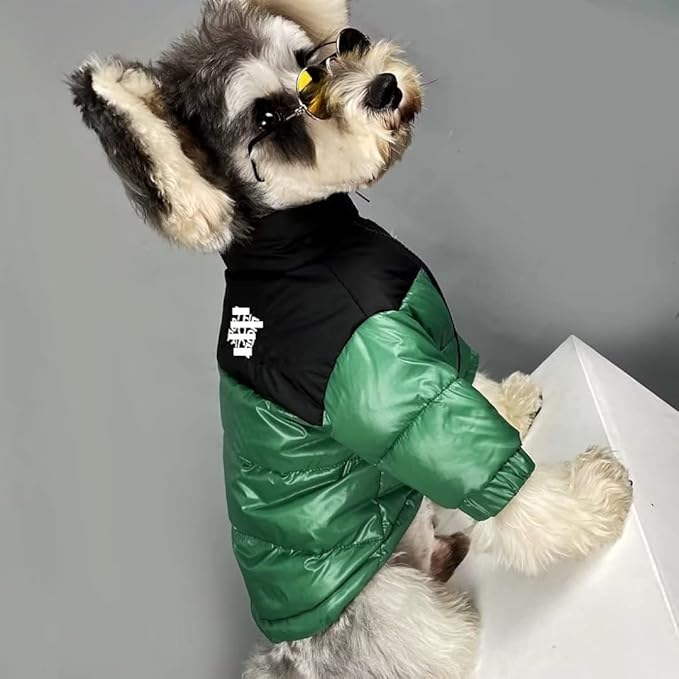 Dog Winter Coat Duck Down Jacket for Small Medium Dogs-Thicken Dog Coat Windbreaker Puppy Winter Clothes for Cold Weather Snowday (Green, X-Large)