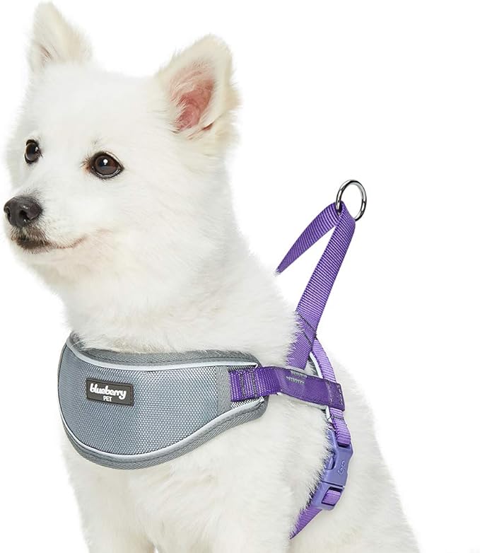 Blueberry Pet Purple Dog Harness, Medium Sized, Small Dog Harness, Puppy Harness, Reflective Nylon Vest, Adjustable for Small Dogs, Large Dog Owners, Pet Trainers, Active Pet Parents