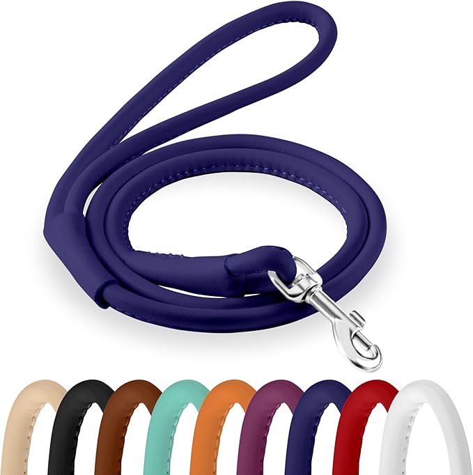 CollarDirect Rolled Leather Dog Leash 6ft, Soft Training Leather Dog Leash for Puppy and Grown Dog Small Medium Large Black Blue Red Orange Green Pink White (Purple, Size L 6ft)