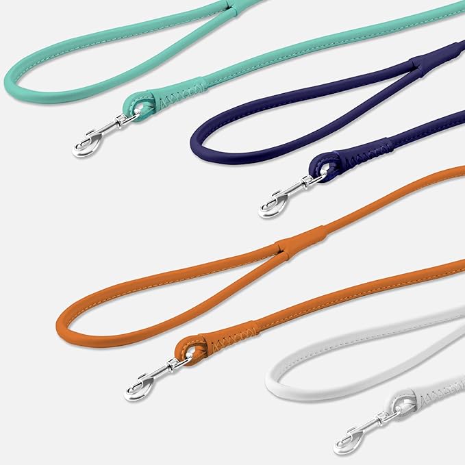 CollarDirect Rolled Leather Dog Leash 6ft, Soft Training Leather Dog Leash for Puppy and Grown Dog Small Medium Large Black Blue Red Orange Green Pink White (Purple, Size L 6ft)