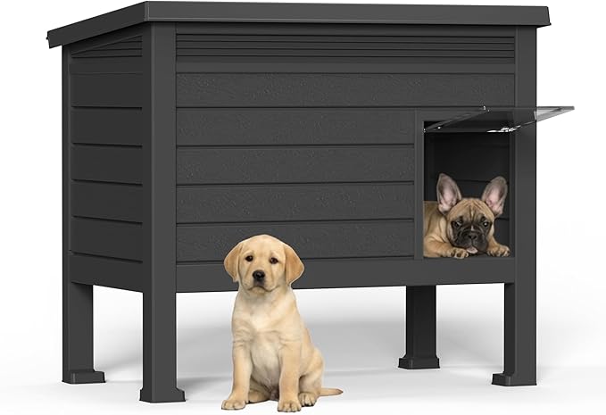 DRATO Indoor & Outdoor Resin Dog House with Raised Floor and Easy Assembly - Small Breed Shelter Featuring Louvered Vents, Spiked Legs, and Sloped Roof,Black