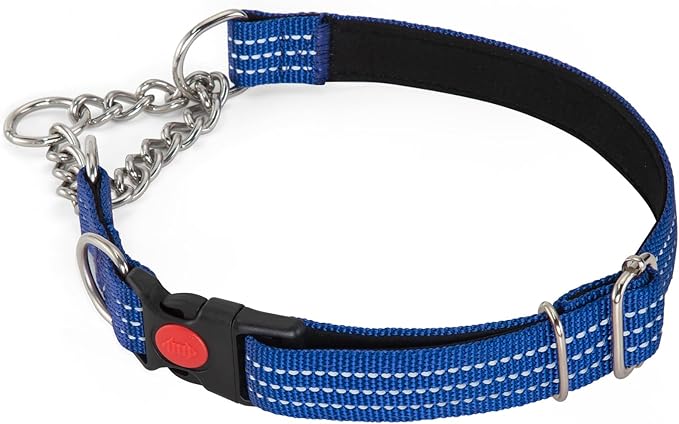 Martingale Collars,Reflective Dog Collar,Side Release Buckle,Adjustable Chain Training Pet Collars (Blue, M,Neck 13"-20")