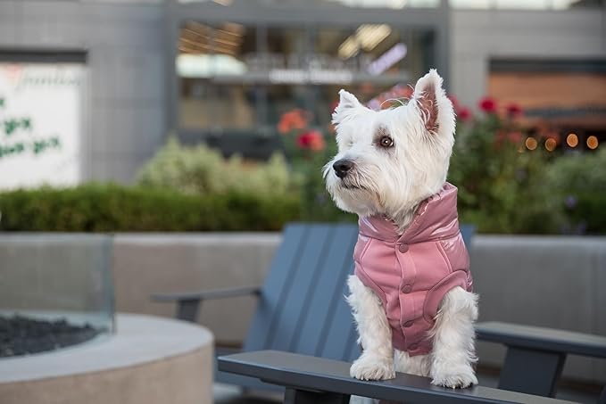 Blueberry Pet Cozy Mauve Pink Dog Jacket – Lightweight Puffer Winter Coat for Small & Medium Dogs, Warm Outdoor Wear, Size 14 (15.75" Back Length)