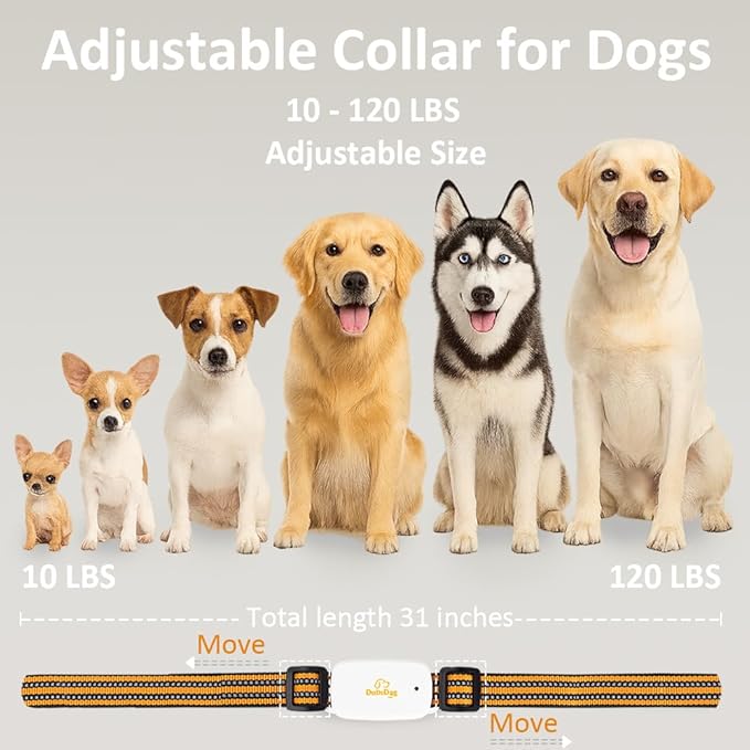 New Upgrade Training Shock Collar with 9.8FT Retractable Leash for Dog – 3200FT Remote E-Collar for Dogs, Color Screen Display, Beep Vibration Static, IP67 Waterproof, USB-C Rechargeable