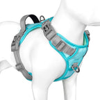 PHOEPET No Pull Dog Harness, Unique Colors Reflective Adjustable Dog Vest, with Soft Training Handle Metal Clips for Small Medium Large Dogs (Mint Green Base & Grey Straps,S)
