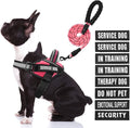 Service Dog Vest Harness and Leash Set, Animire in Training Dog Harness with 10 Dog Patches, Reflective Dog Leash with Soft Padded Handle for Small, Medium, Large, and Extra-Large Dogs (Rosy,M)