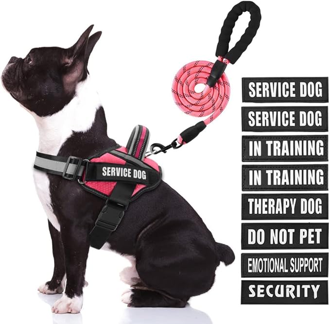 Service Dog Vest Harness and Leash Set, Animire in Training Dog Harness with 10 Dog Patches, Reflective Dog Leash with Soft Padded Handle for Small, Medium, Large, and Extra-Large Dogs (Rosy,M)