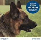 Herm Sprenger Pet Supply Imports Chrome Plated Training Collar with Quick Release Snap for Dogs, Medium, 3.0mm, 21-Inch