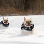 Weewooday 4 Pieces Winter Fabric Dog Sweaters with Leash Ring Soft Fleece Vest Pullover Pet Jacket Warm Dog Clothes Coats for Pet Puppy Cats Chihuahua(XL (Neck:15.7-17” Chest:20.9-21.7”))