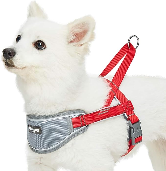 Blueberry Pet 8 Colors Soft & Comfy 3M Reflective Strips Padded Dog Harness Vest, Chest Girth 16.5" - 21", Red, Small, Nylon Adjustable Training Harnesses for Dogs