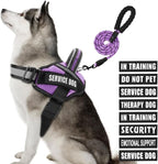 Service Dog Vest Harness and Leash Set, Animire in Training Dog Harness with 10 Dog Patches, Reflective Dog Leash with Soft Padded Handle for Small, Medium, Large, and Extra-Large Dogs (Purple, XL)