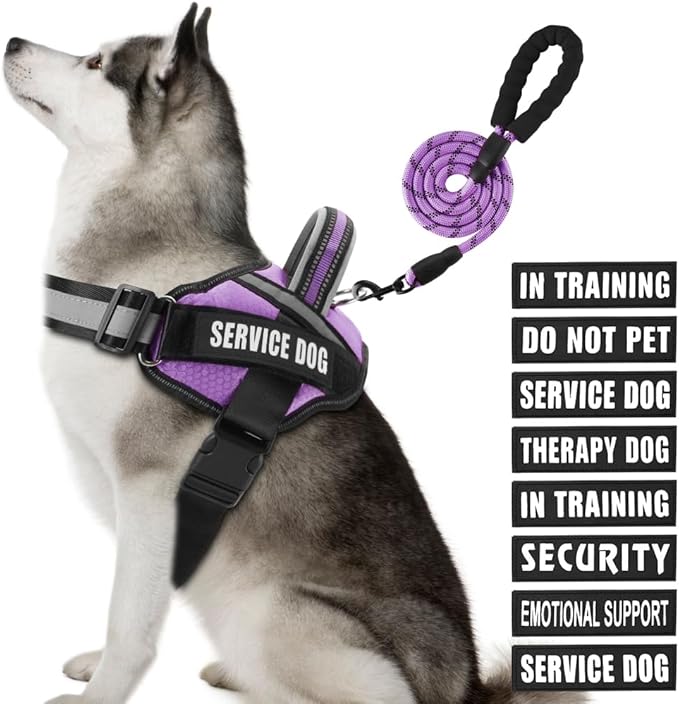 Service Dog Vest Harness and Leash Set, Animire in Training Dog Harness with 10 Dog Patches, Reflective Dog Leash with Soft Padded Handle for Small, Medium, Large, and Extra-Large Dogs (Purple, XL)