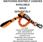 2-Inch Wide Tactical Dog Collar with Control Handle, Adjustable for Medium & Large Dogs, Military Style with Heavy-Duty Metal Buckle, USA Flag Patch & Customizable Name Plate, Training & Everyday Use