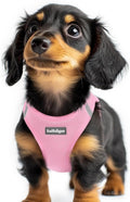 rabbitgoo Small Dog Harness, Step-in Soft Mesh Puppy Vest with Safety Buckle, Breathable Reflective Pet Harness for Extra Small Dogs, Light Pink XXS