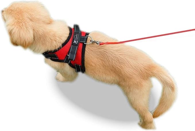 No Pull Reflective Adjustable Dog Harness with Handle- Comfortable Soft All Weather Mesh, Easy On Puppy Harness for Small Medium and Large Dogs (Red) Large