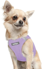 rabbitgoo Small Dog Harness, Step-in Soft Mesh Puppy Vest with Safety Buckle, Breathable Reflective Pet Harness for Extra Small Dogs, Light Purple XXXS