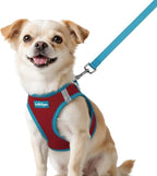 rabbitgoo Dog Harness Small Sized and Leash Set, Step-in Breathable Pet Harness, Soft Walking Reflective Puppy Vest for Small Dogs, Red & Teal, XXS