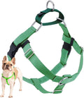 2 Hounds Design Freedom No Pull Dog Harness, Adjustable Harness, Easy Walking & Comfortable Control, Fits Small, Medium & Large Dogs, Solid Colors, Made in USA, 5/8" XS, Neon Green