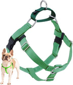 2 Hounds Design Freedom No Pull Dog Harness, Adjustable Harness, Easy Walking & Comfortable Control, Fits Small, Medium & Large Dogs, Solid Colors, Made in USA, 5/8" SM, Neon Green