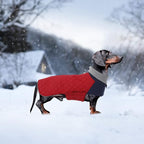 Geyecete Dachshund Coat,Dachshund Winter Coat,Warm Waterproof Windproof, High Neckine String Holes Miniature Dachshund Jacket for Small Dog-Red-S