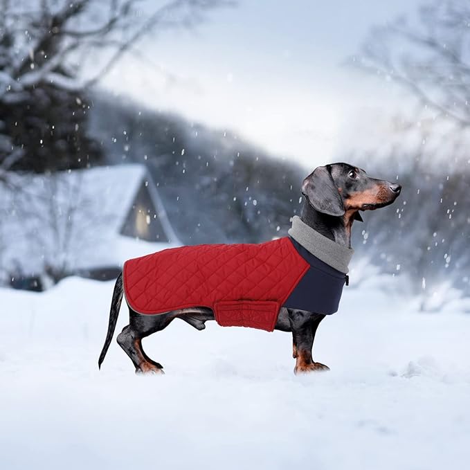 Geyecete Dachshund Coat,Dachshund Winter Coat,Warm Waterproof Windproof, High Neckine String Holes Miniature Dachshund Jacket for Small Dog-Red-XS