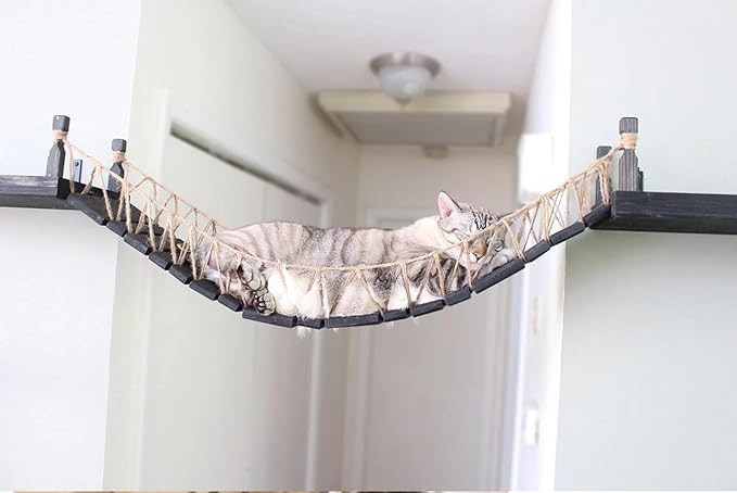 Catastrophic Creations Cat Bridge 50" Wall-Mounted Cat Play and Lounge Bridge - Ideal Climbing Toy and Cat Tree Alternative for Pets