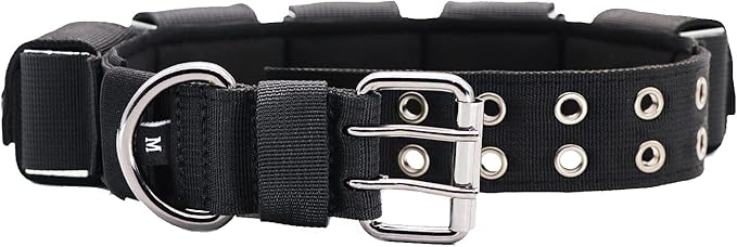 Tactical Weighted Dog Collar - Weights for Training & Exercise - Small, Medium, Large Dogs