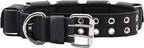 Tactical Weighted Dog Collar - Weights for Training & Exercise - Small, Medium, Large Dogs