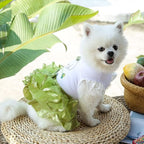Cute Pet Frilly Dress for Dogs and Cats - Spring and Summer Fruit-Themed Party Gown for Small, Medium, and Large Breeds